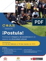 Afiche Pua 2021