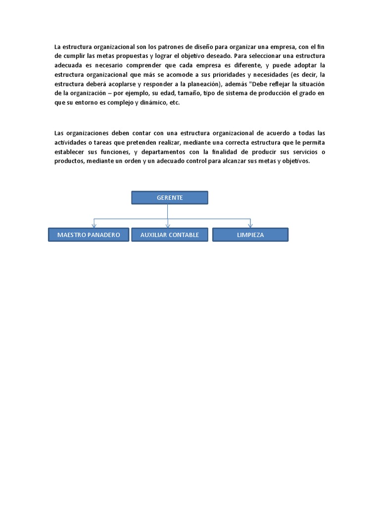 La Estructura Organizacional | PDF | Crecimiento personal y profesional