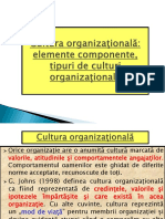 Cultura Organizationala - Tipologii