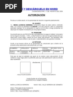 Modelo de Carta de Autorización