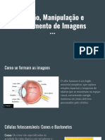 Edição - Manipulação e Tratamento de Imagens