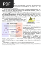 REVOLUÇÃO FRANCESA