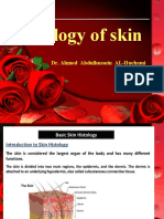 Histology of Skin: Dr. Ahmed Abdulhussein AL-Huchami