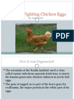 Cancer Fighting Chicken Eggs