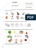 CLR Evaluare Sumativa Sem 1