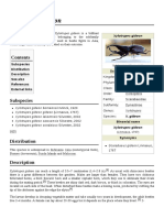 Xylotrupes Gideon: Subspecies Distribution Description See Also References External Links