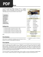 Xylotrupes Gideon: Subspecies Distribution Description See Also References External Links