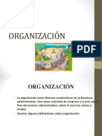 Generalidades Sobre La Organizacion