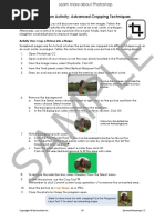 Sample: Session 3 Extension Activity: Advanced Cropping Techniques