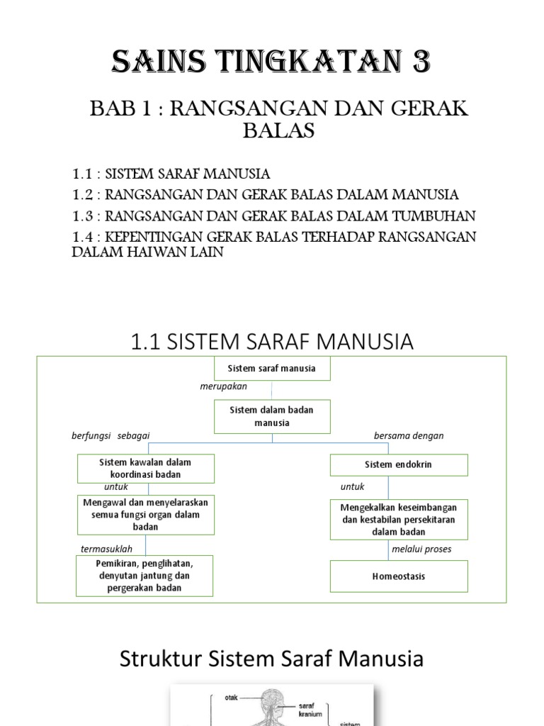 Sains Tingkatan 4 Bab 9 Science Quizizz Kegunaan Medan Elektrik Pada Haiwan Litkionexais