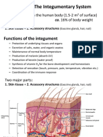 BIOL 2210 Chapter 6, Integument System-1