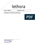 Plethora Growing Your Online Community