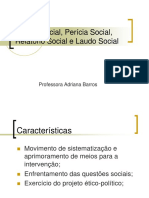 Estudo Social, Perícia Social, Relatório Social e Laudo Social