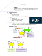 Nucleic Acids: A. Dna