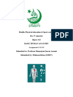 Study of Anatomy and Physiology in The Field of Health