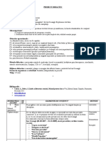 1 Proiect Didactic Fata Babei Si Fata Mosneagului