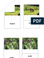 3 Part Zoo Cards