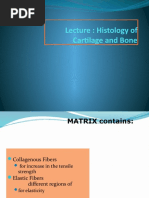 Lecture: Histology of Cartilage and Bone