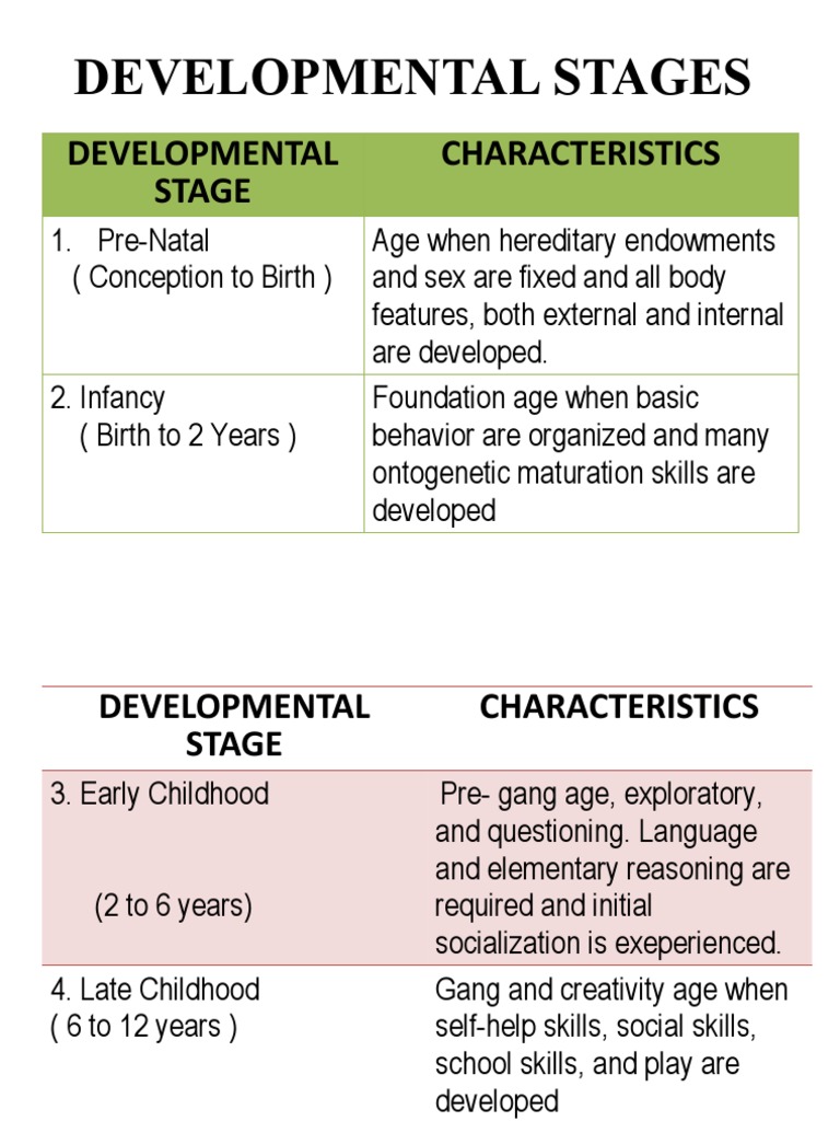 Developmental Stages | PDF
