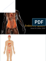 Endocrine System