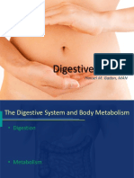 Digestive System 2020
