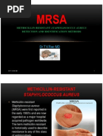 Download MRSA Methicillin Resistant Staphylococcus  Detection by tummalapalli venkateswara rao SN49365440 doc pdf