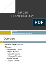 Lecture 3 - Cellular Reproduction and Plant Tissues