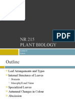 NR 215 Plant Biology: Leaves