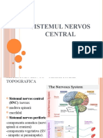 1-Sistemul nervos central [Autosaved]