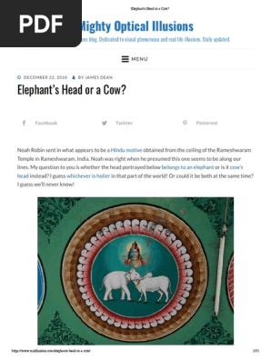 Elephant's Head or a Cow_