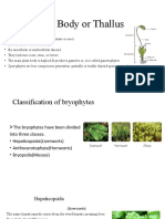Plant Thallus Classification - Bryophytes Divided into Liverworts, Hornworts and Mosses