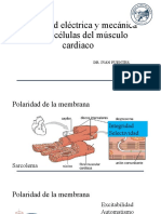 2.1 Actividad Eléctrica y Mecánica de Las Células Del