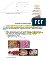 Anatomia Patológica Parte 2