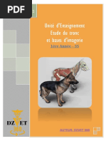 S8 Immunologie Medicale Dzvet360 Cours Veterinaires Pdf Recepteur De Type Toll Systeme Immunitaire
