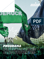 Programa Constituyente Revolución Democrática