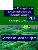 Aula 6 Recursos Forrag Sustentab Atividade Leiteira