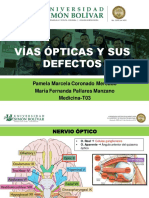 Vías Ópticas y Sus Defectos Simulación