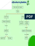 Clasificacion de Glandulas