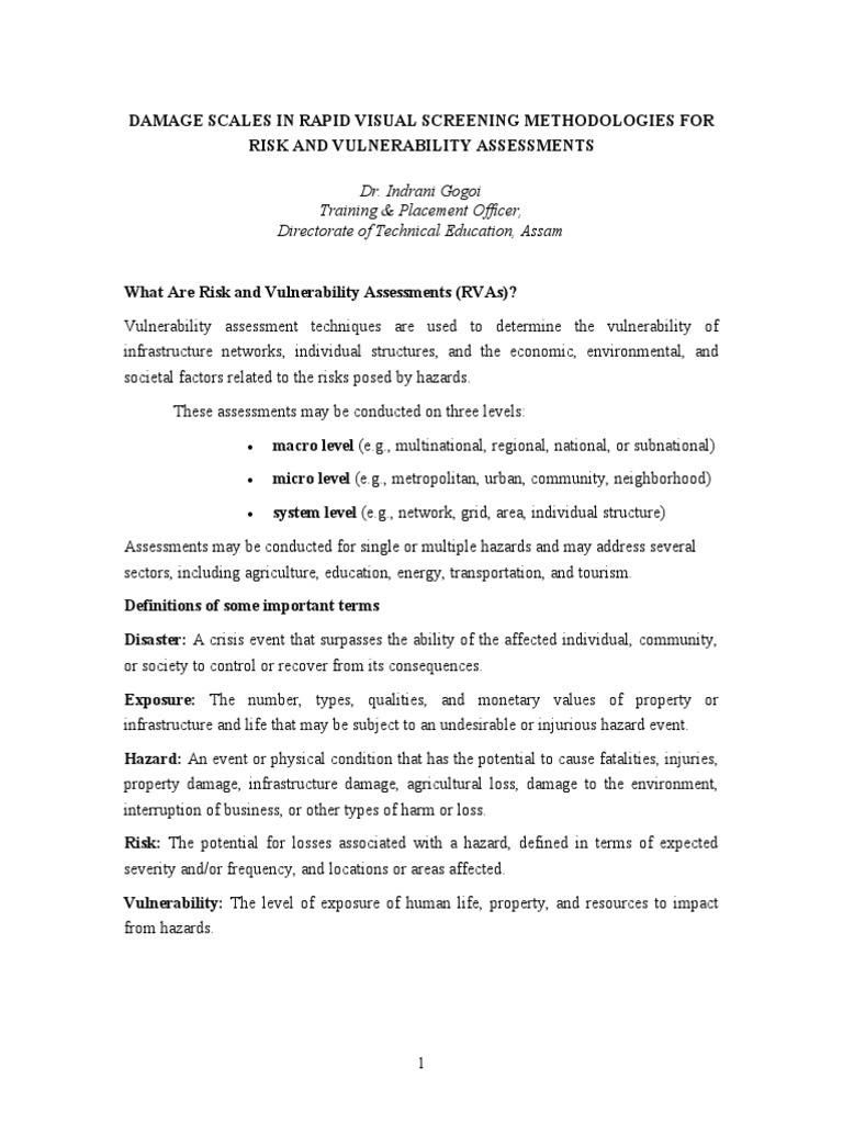 What Are Risk and Vulnerability Assessments | PDF | Hazards | Masonry