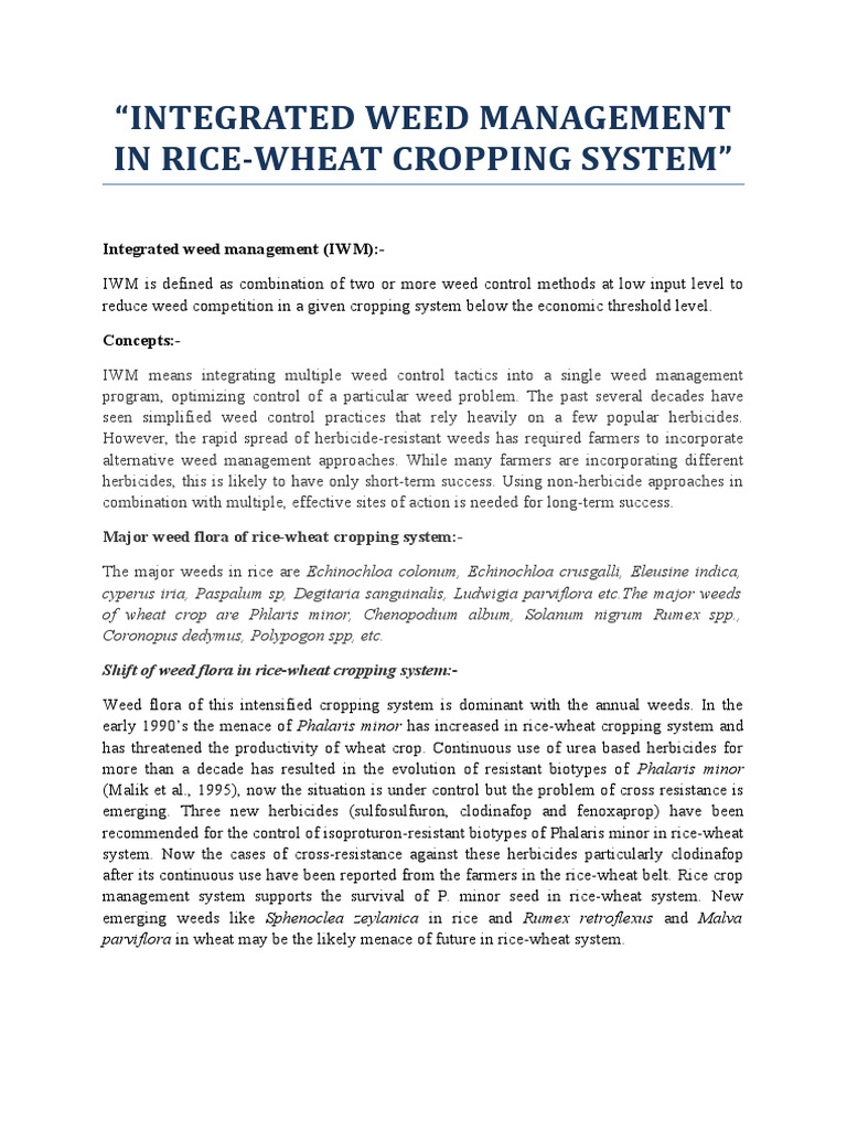Integrated Weed Management in Rice-Wheat Cropping System | PDF | Crop ...