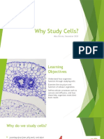 Cells, Diffusion and Osmosis