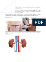 Addtl Infos Sa Urinary