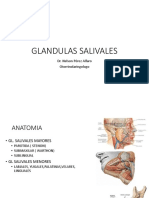 PATOLOGIA SALIVAL Pregrado