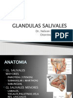 PATOLOGIA SALIVAL Pregrado