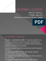 Analizatorul Auditiv