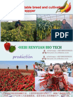 The China Vegtable Breed and Cultivation Technology - 887