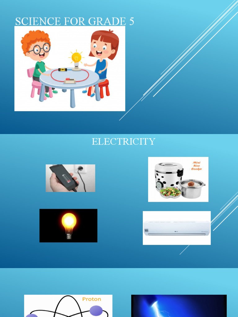 Scince For Grade 5 | PDF