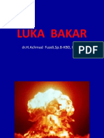 Luka Bakar