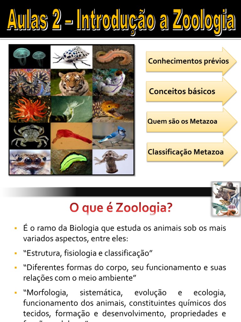 Introdução à Zoologia e Metazoa | PDF | Taxa | Organismos