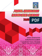 Profil Kesehatan Sleman 2020